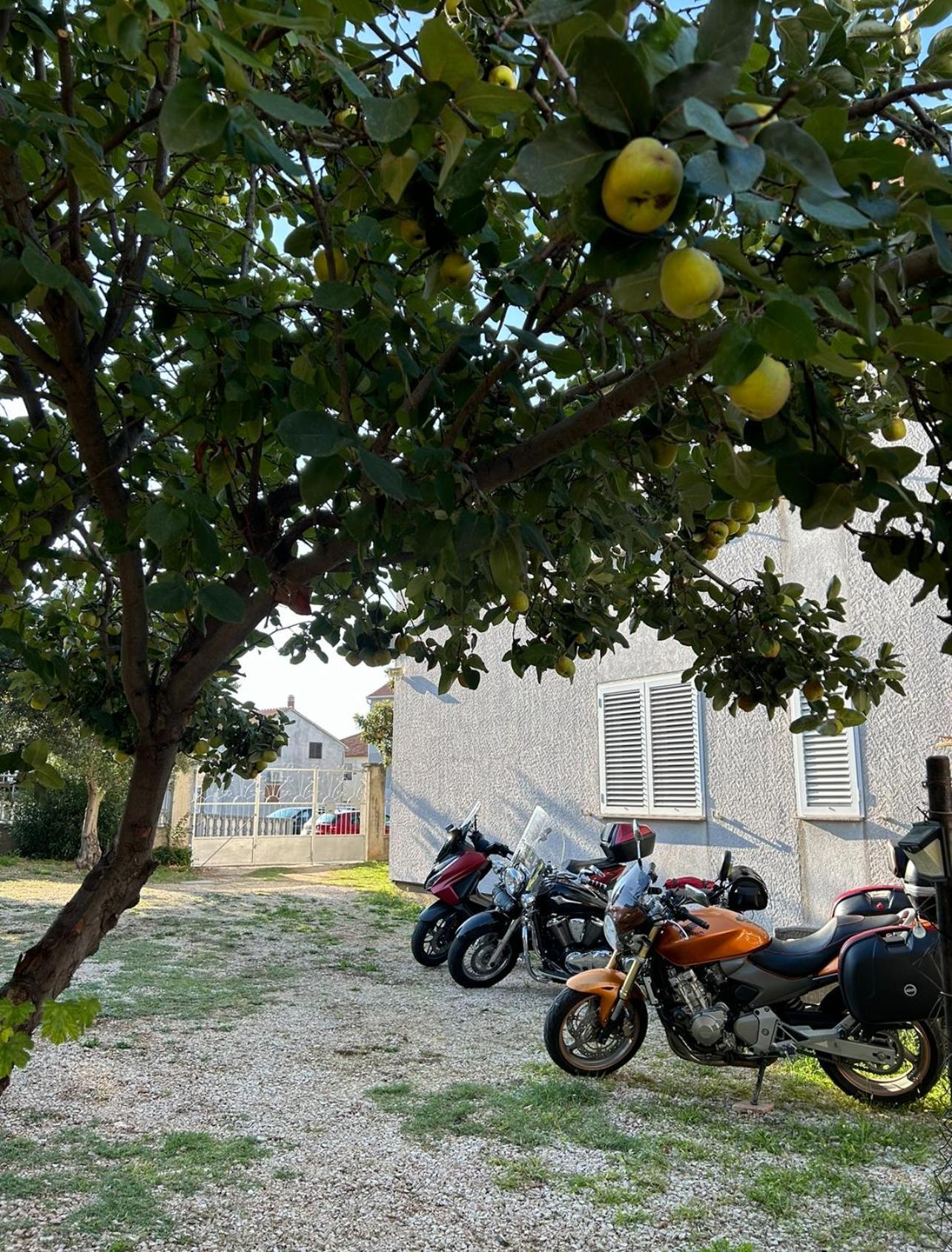 Villa Jadran Zadar Free Parking Sea View Exterior photo
